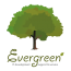 Evergreen
