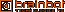 Brainbot technologies