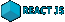 ReactJS India