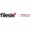 Filesie Systems (India) Private Limited