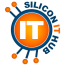 Silicon IT Hub