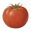 Accounting Ketchup