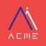 Acme AI Ltd.