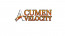 Acumen Velocity