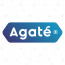 Agate International