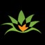 Agave Information Soultions
