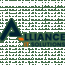 Alliance IT Solutions