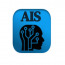 Alluring Infotech Solutions