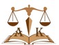 Amal Khamis - Law Firm