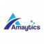 Amaytics Digital Services Pvt Ltd