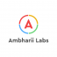 Ambharii Labs
