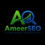 Ameer SEO - Best SEO services in Pakistan
