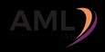 AML Services UAE
