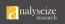 Analyseize