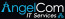 AngelCom IT Services