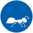Ant Translation