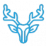 Antler Web Studios