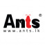 Ants Creation (Pvt) Ltd.