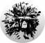 Apachewolf Productions