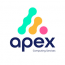 Apex Computing Services Limited