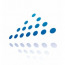 Apex IT Services
