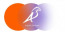 Aquila Services