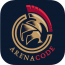 Arena Code Software