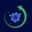 Arule Health
