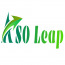 ASOLeap