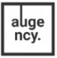 Auge Agency