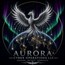 Aurora Cyber Operations LLC
