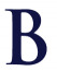 Banibro IT Solutions
