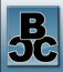 Bear Canyon consulting