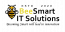 BeeSmart IT solutions