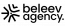 Beleev Agency