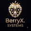 BerryX Systems