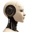 Big Business Links - AI SEO & Authority Platform