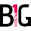 BIG In Digital Agency