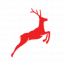 BigLeap