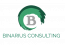 Binarius Consulting Inc.