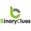 Binary Clues - Financial Services CRM Software Provider