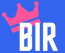 Bir Digital Marketing agency