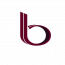 Bisidq Solutions