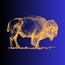 Bison Business Communications