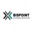 Bispoint Group