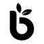 BitGreen Technologies