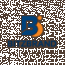 Bitz Brand