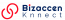 Bizaccenknnect Pvt ltd