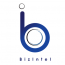 BizIntel