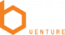 BizVenture Marketing